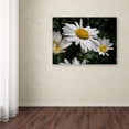 thumbnail image 3 of Trademark Fine Art "Dominating Beauty" Canvas Art by Monica Fleet, 3 of 3