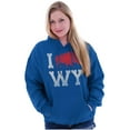 thumbnail image 3 of Wyoming Love Buffalo Bison Souvenir Unisex Plus Fleece Graphic Hoodie Brisco Brands 2X, 3 of 5