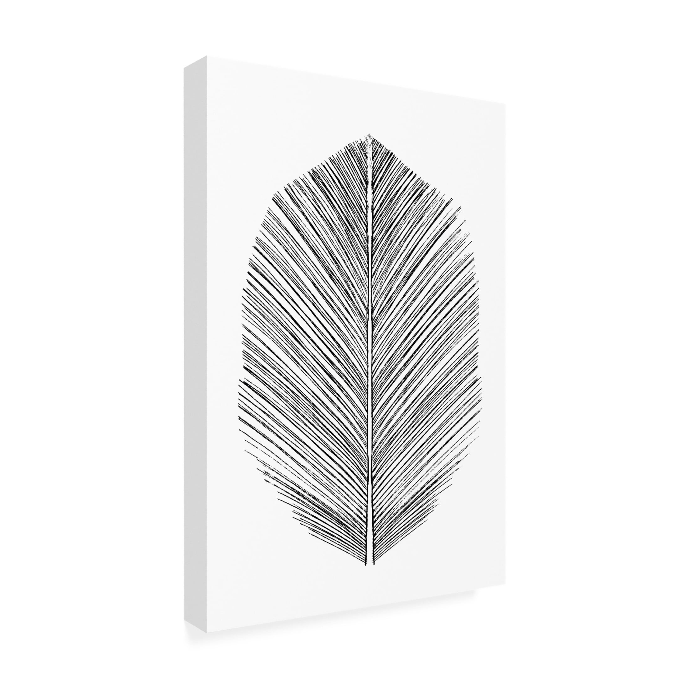 Trademark Fine Art Dan Hobday Feather Canvas Wall Art