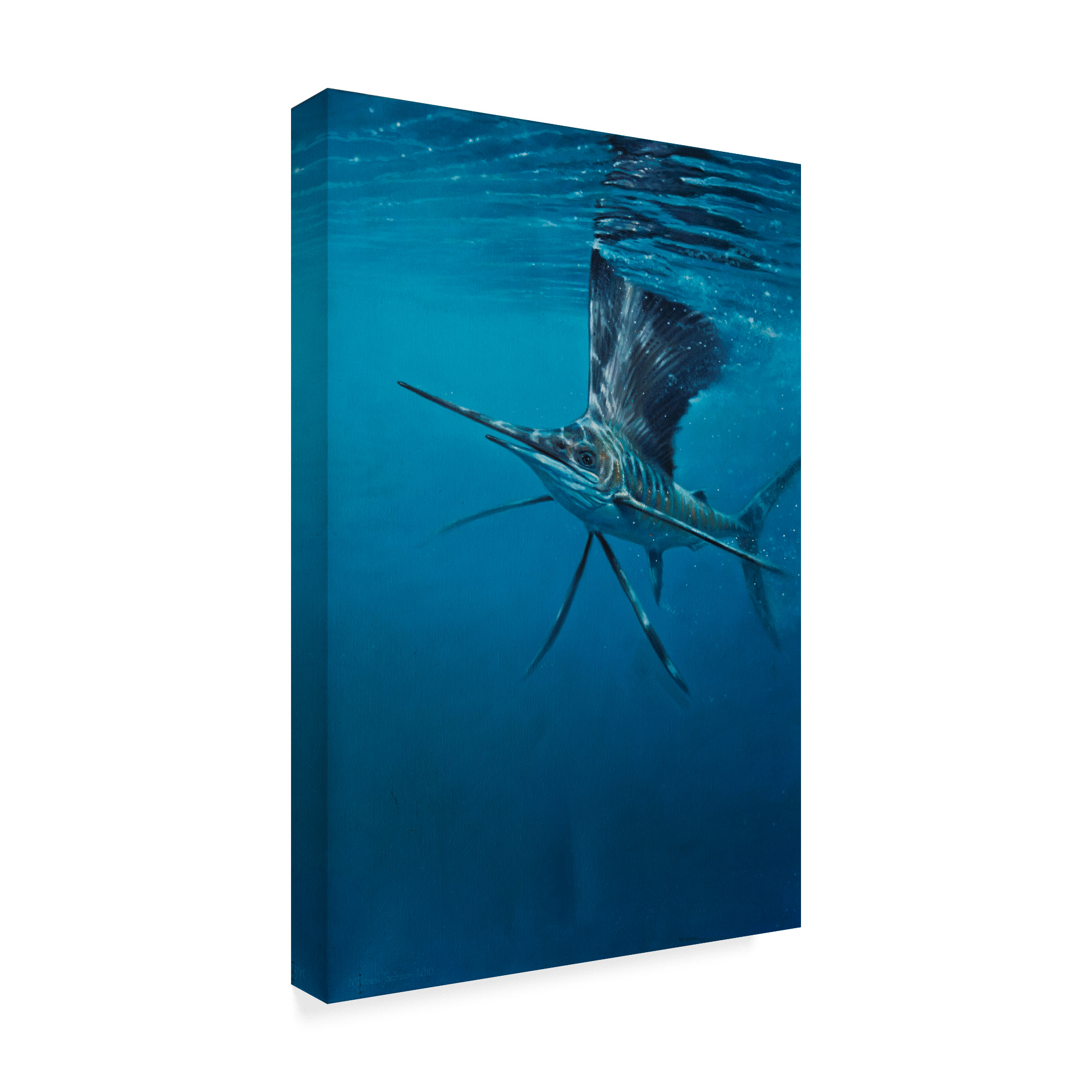 Trademark Fine Art 'Sailfish' Canvas Art by Michael Jackson