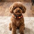 thumbnail image 3 of ZZHZGZ Canada Sale Collar Adjustable Nylon Breakaway Buckle Reflective Strip Comfortable Soft Edge for Small Medium Large Cats, 3 of 8