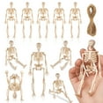 thumbnail image 2 of 10 miniesqueletos decorativos de 15 cm, estatua de hueso humano articulada, de plástico, para Halloween, casa embrujada, fiesta, 2 of 6