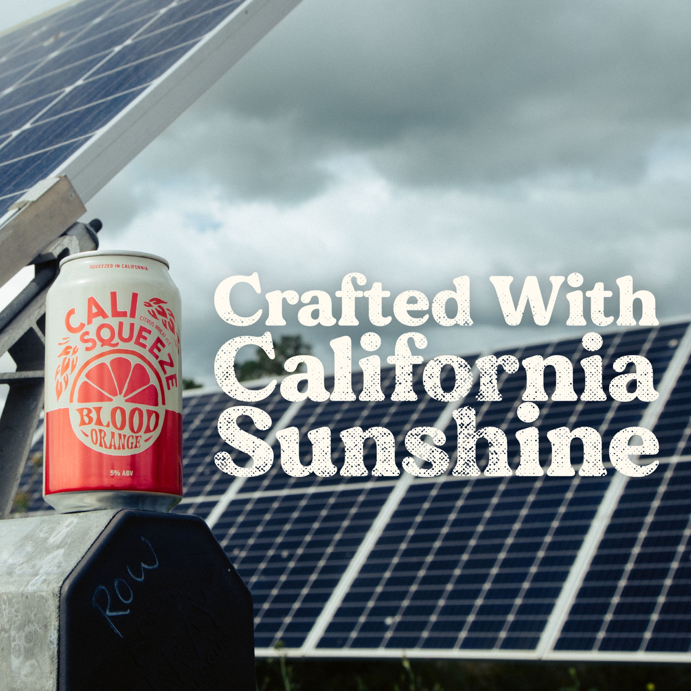 Cali Squeeze Blood Orange Wheat Ale Craft Beer, 6 Pack, 12 fl oz Cans, 5% ABV