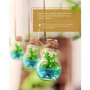 Venus Fly Trap Plant Terrarium, Self-Growing, Maintenance Free, 100% Growth Guarantee, 2 x 2 x 3 inches