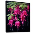 thumbnail image 2 of Designart "Black And Pink Blooms Of Fuchsia Flowers" Fuschia Floater Framed Canvas Prints, 2 of 5