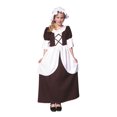 thumbnail image 1 of VESTIDO COLONIAL MARRÓN PARA NIÑA-L RG Costumes 91130- L, 1 of 1