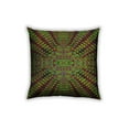 thumbnail image 1 of Ahgly Company Outdoor Square Patterned Throw Pillow, 18 inch by 18 inch, 1 of 6