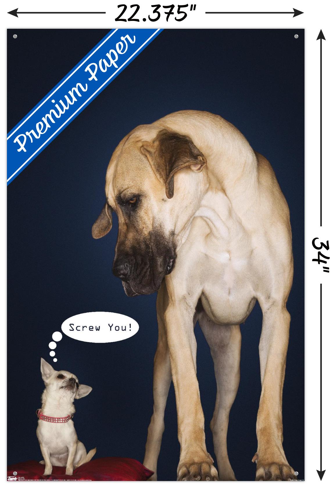 Dogs - Screw You Wall Poster with Push Pins, 22.375" x 34"
