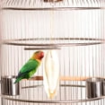 thumbnail image 3 of 5 Pcs/Ensemble Os de Seiche Seiche Nourriture pour Oiseaux Calcium Nouveau B4C9 g, 3 of 7