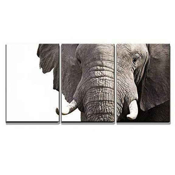 wall26 - 3 Piece Canvas Wall Art - Elephant - Modern Home Art Stretched and Framed Ready to Hang - 16"x24"x3 Panels