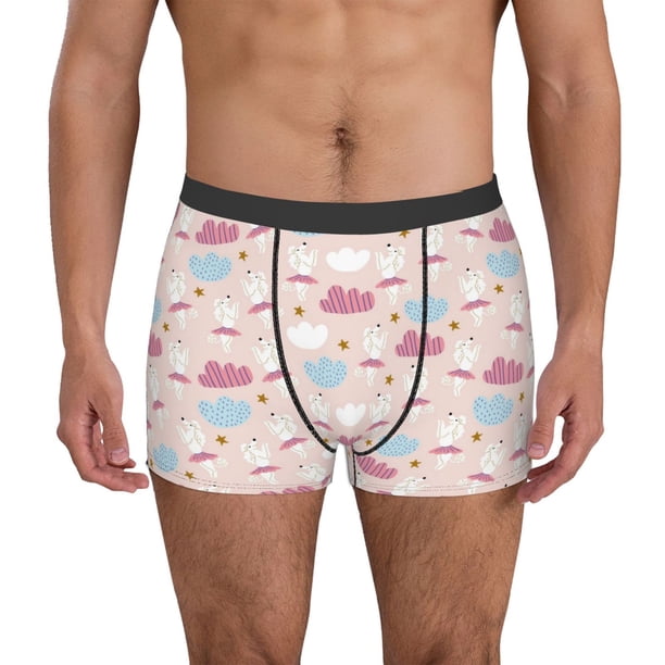 Fotbe Poodle In Ballet Skirts Dancing Calzoncillos Tipo Boxer con Bolsa de Soporte Total para Hombre, X-Temp Fresco, Transpirable y de Secado Rápido-Small