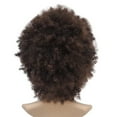 thumbnail image 2 of wigs human hair hair wigs Women Curly Short Wigs Synthetic Brown Natural wig, 2 of 6