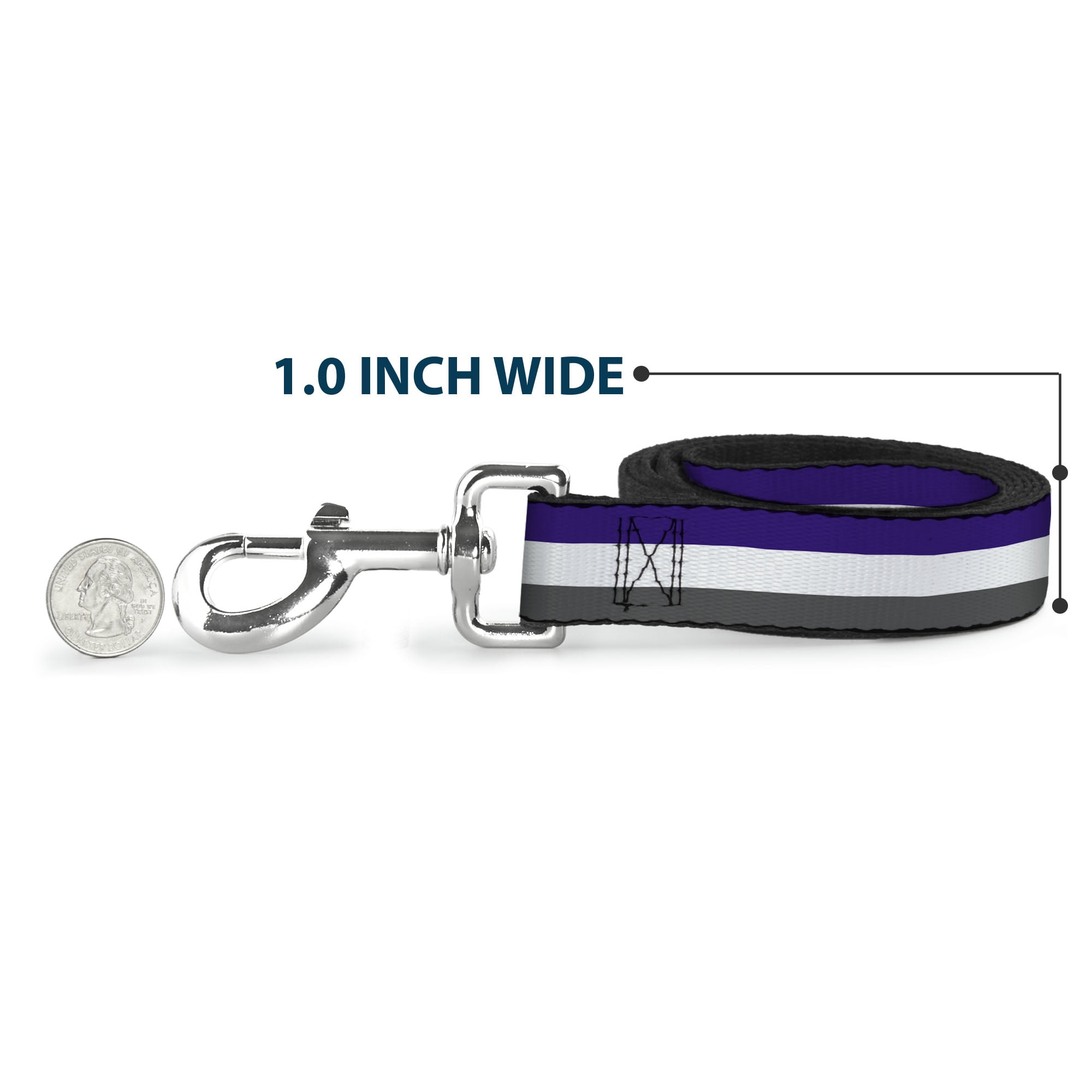 Buckle-Down Pet Leash, Dog Leash, Stripes Purple White Gray, 6 Feet Long 1.0 Inch Wide
