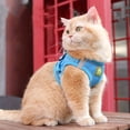 thumbnail image 3 of Lightweight & Reflective Cat Harness & Leash Set - Perfect for Outdoor Walking & Training!, 3 of 5