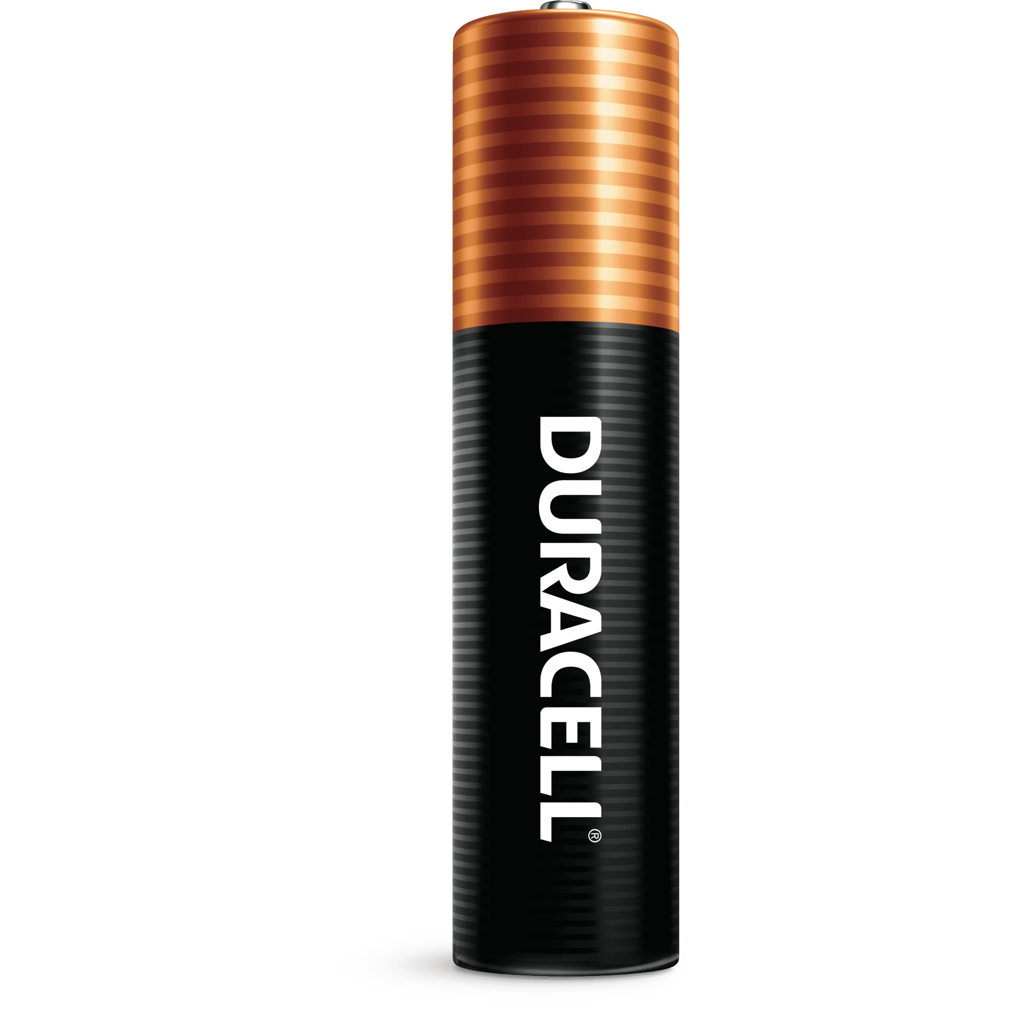 Duracell Coppertop AAA Battery with POWER BOOST™, 16 Pack Long-Lasting  Batteries 