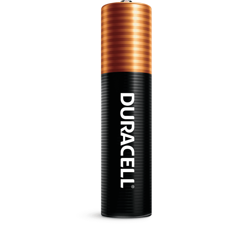 Duracell Coppertop Alkaline AA Battery Charger with 4 AA Rechargeable  Batteries Included (8 Total Batteries) 004133304308 - The Home Depot
