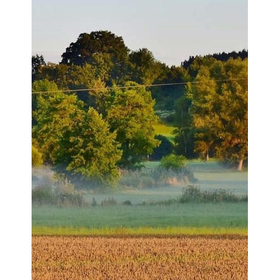 Landscape Countryside Country Outback Farm Farming Adventure Nature Natural : Notebook Large Size 8.5 x 11 Ruled 150 Pages Softcover (Paperback)
