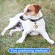 thumbnail image 4 of Smart Portable Anti-Lost Pet GPS Tracker, Wi-Fi Device for Kids, Dogs, Cats, IP67, 4 of 4