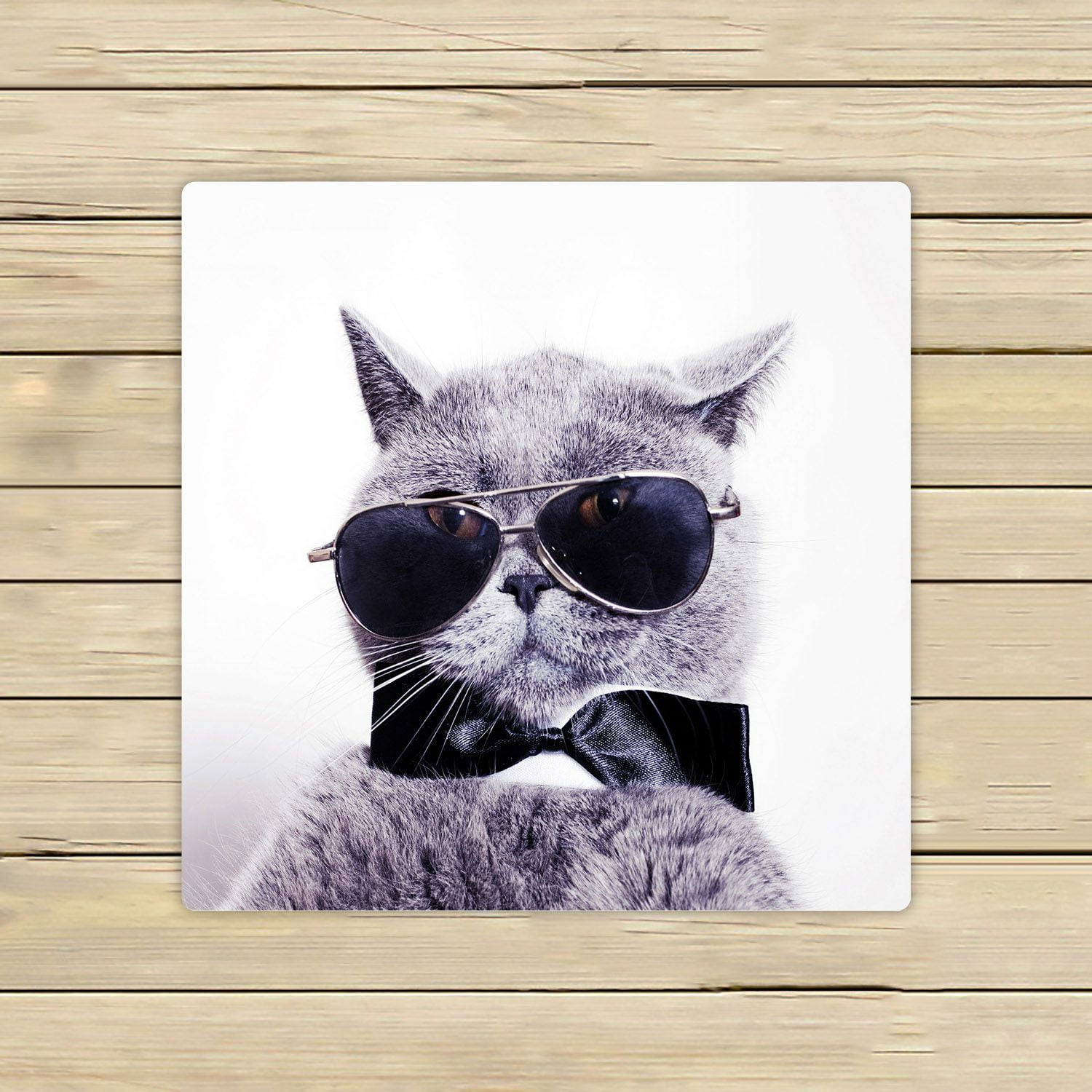 PHFZK Funny Cat Towel, Portrait of British Shorthair Gray Cat Wearing