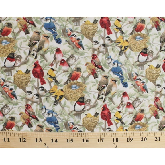 Cotton Housing Boom Birds Branches Nests Eggs Leaves Allover Cream Cotton Fabric Print by the Yard (4320-cream)