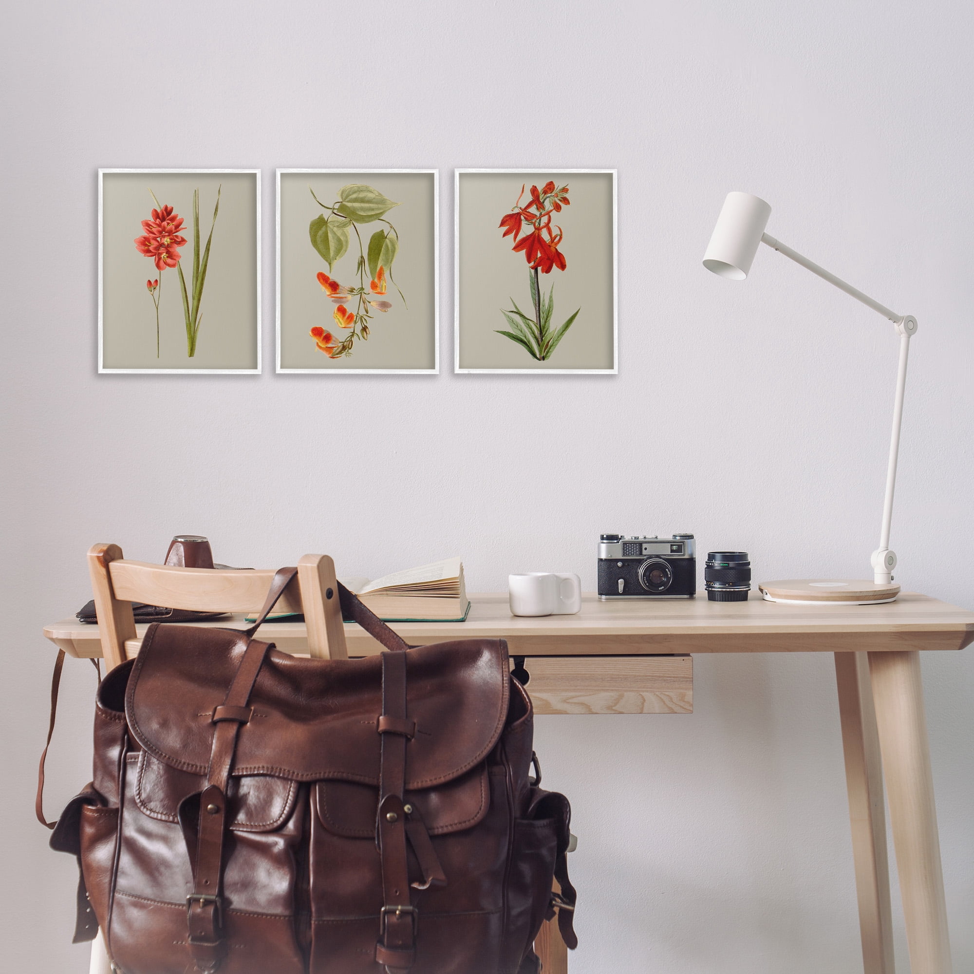 Stupell Industries Woodland Flower Study Botanical & Floral Painting White Framed Art Print Wall Art, 11 x 14, Set of 3