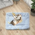 thumbnail image 4 of FYTPOV Dog Mat Crate Pad, Soft Pet Bed with Cute Crowns Print, Washable Crate Mat for Large Medium Small Dogs, Dog Cat Bed, M, 4 of 5