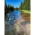 thumbnail image 2 of Coppel, Anna 25x32 Black Ornate Wood Framed with Double Matting Museum Art Print Titled - Peaceful Stream, 2 of 4