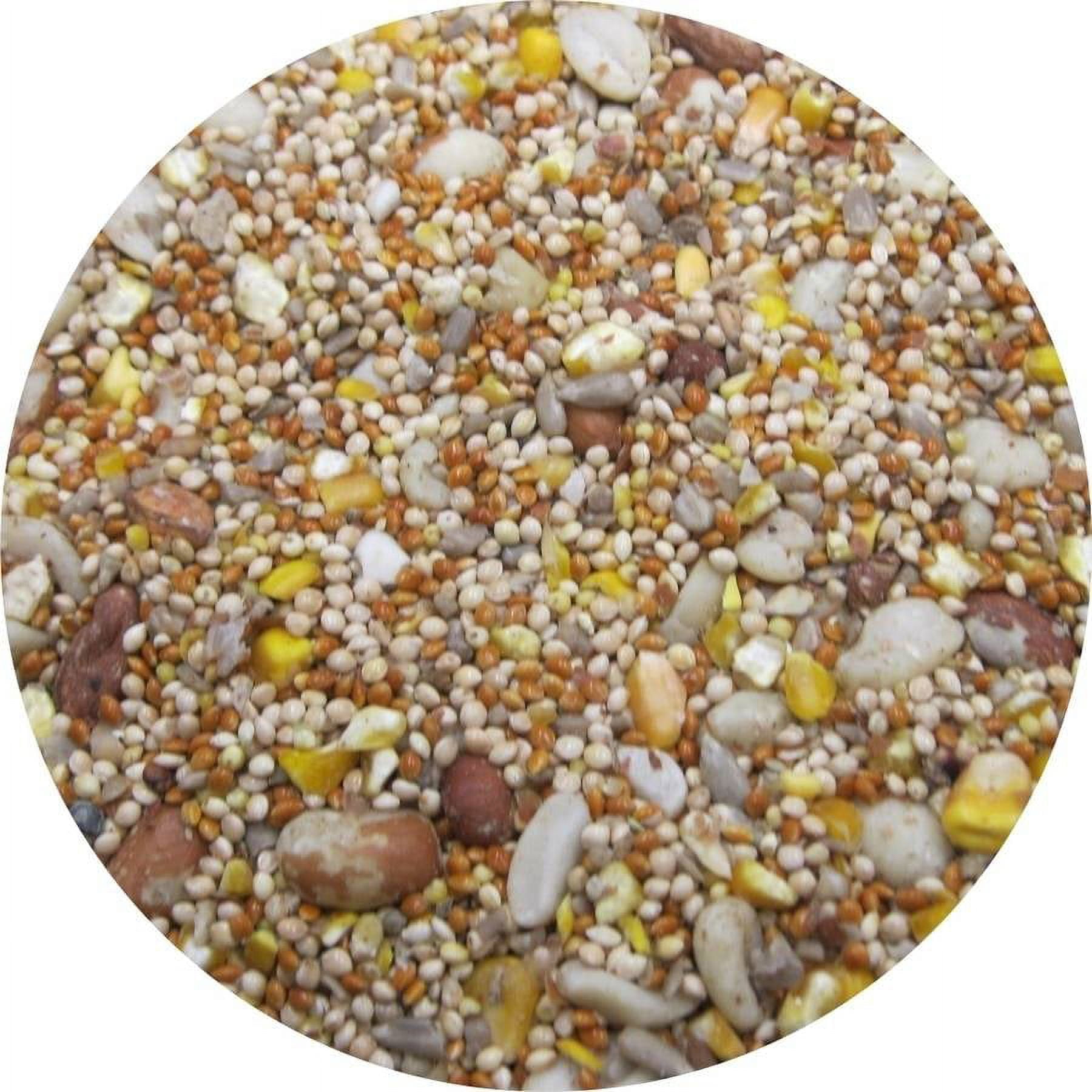 Wagner's Shell Free Premium Wild Bird Feed, 5 lb