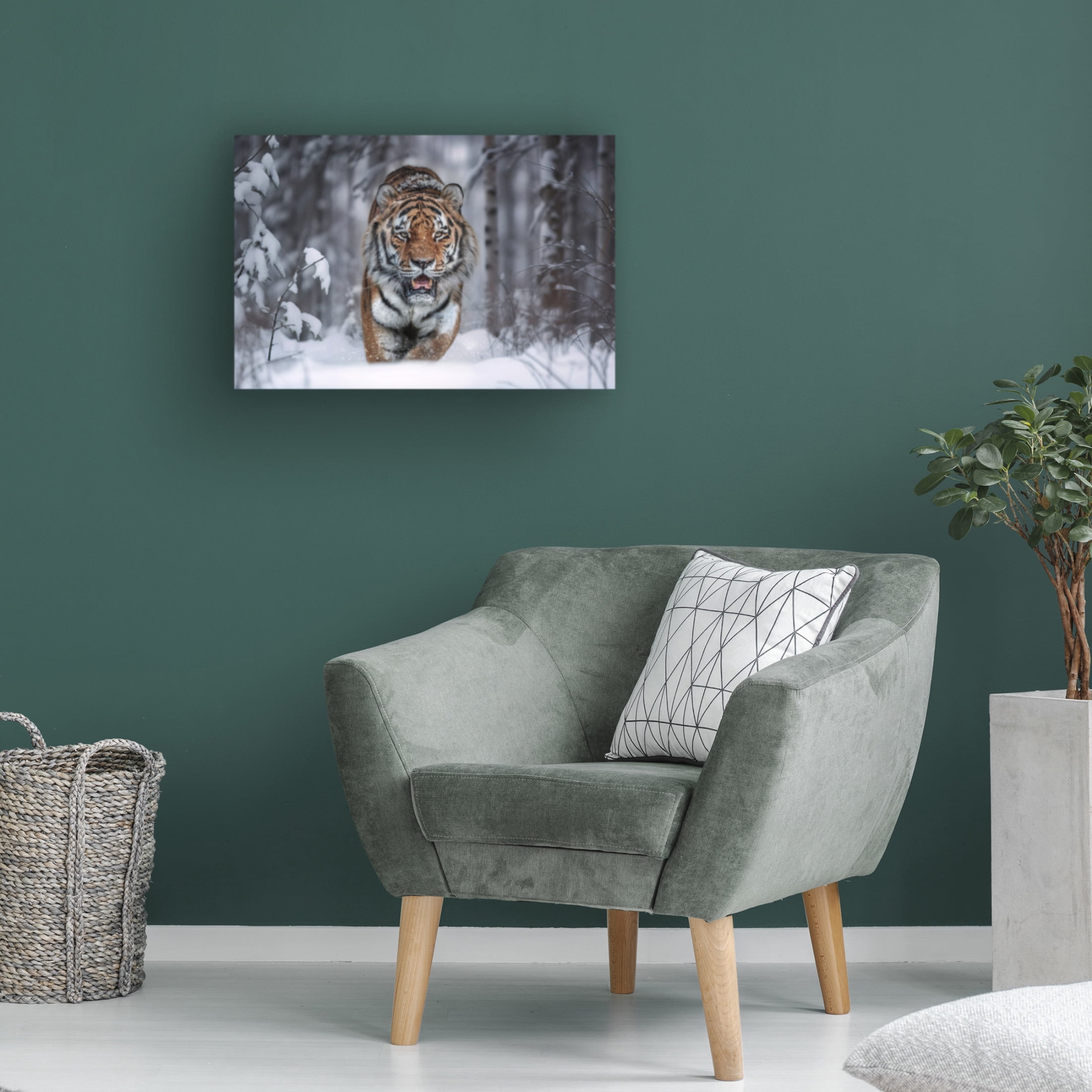 Trademark Fine Art Marcel Egger  SnowTiger Canvas Wall Art