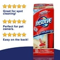 Resolve Pet Expert Easy Clean Carpet Cleaner Gadget + Foam Spray Refill