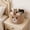 E-Brown, variant on Easter Basket Beige White Highland Cow Design Storage Basket Soft Woven Texture Cute Cloth Detail Decors for Party Treat Storage Container