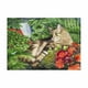 thumbnail image 1 of Rc. Gold Edition 300 Pzs, El Dominio del Gato WUUNDENTOY wuunden toy 0515, 1 of 6