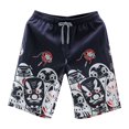 thumbnail image 1 of Pantalones cortos de secado rápido para hombre, ropa de playa, bañadores, ropa de playa, 2023 Fivean unisex, 1 of 2
