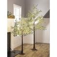 thumbnail image 1 of Olive Tree, Warm white 140 Micro Lights, 4', 1 of 2
