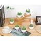 thumbnail image 5 of Set de suculentas artificiales Der Rose con 6 plantas para decoración del hogar, 5 of 6