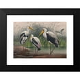 thumbnail image 2 of Joseph Wolf 14x11 Black Modern Framed Museum Art Print Titled - The Indian Wood Ibis (1861-1867), 2 of 5