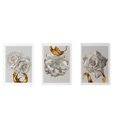 thumbnail image 1 of Pared colgando sin marco pintura arte cartel desmontable impermeable impermeable Adorno en la imagen para sala de estar Corredor de oficina 3 piezas Noticed HA010928-00, 1 of 7