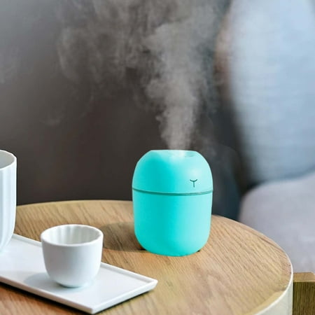 

Qnjujn Portable Mini Humidifier 220ml Small Cool Mist Humidifier USB Desktop Humidifier For Baby Bedroom Travel Office Home Auto Shut-Off 2 Mist Modes Super Quiet Green