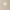 Neutral, variant on Star Blackout Window Curtain Panels Light Gray 52X63 Set