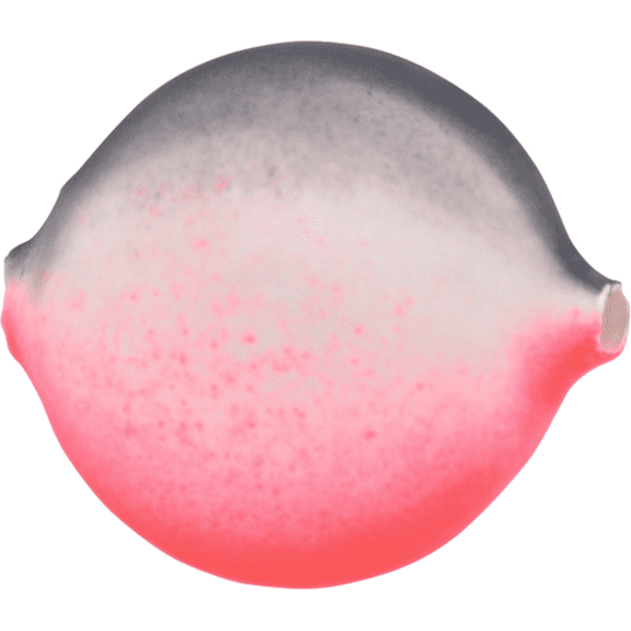 Yakima Bait Corkies Size 14 (100 Pack)