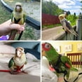thumbnail image 3 of Methold Correa y arnés ajustables de nailon para pájaros Arnés y correa prácticos y duraderos para pájaros y loros para mascotas Aseo de mascotas, 3 of 6