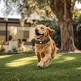 thumbnail image 6 of WAAYEE Tactical Air tag Dog Collar - Heavy Duty, Adjustable Collar Compatible with Air tag, with Control Handle for Medium/Large Dogs(Airtag Not Included), 6 of 6