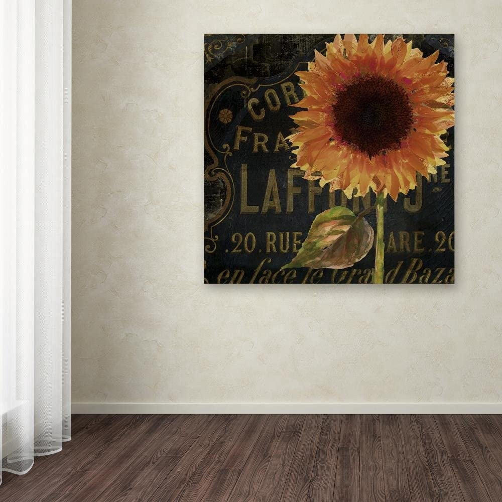 Trademark Fine Art "Sunflower Salon II" Canvas Art by Color Bakery