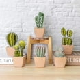 thumbnail image 4 of T4U Artificial Faux Cactus Plants in Pots for Home and Office Decoration, Set of 6, 4 of 6