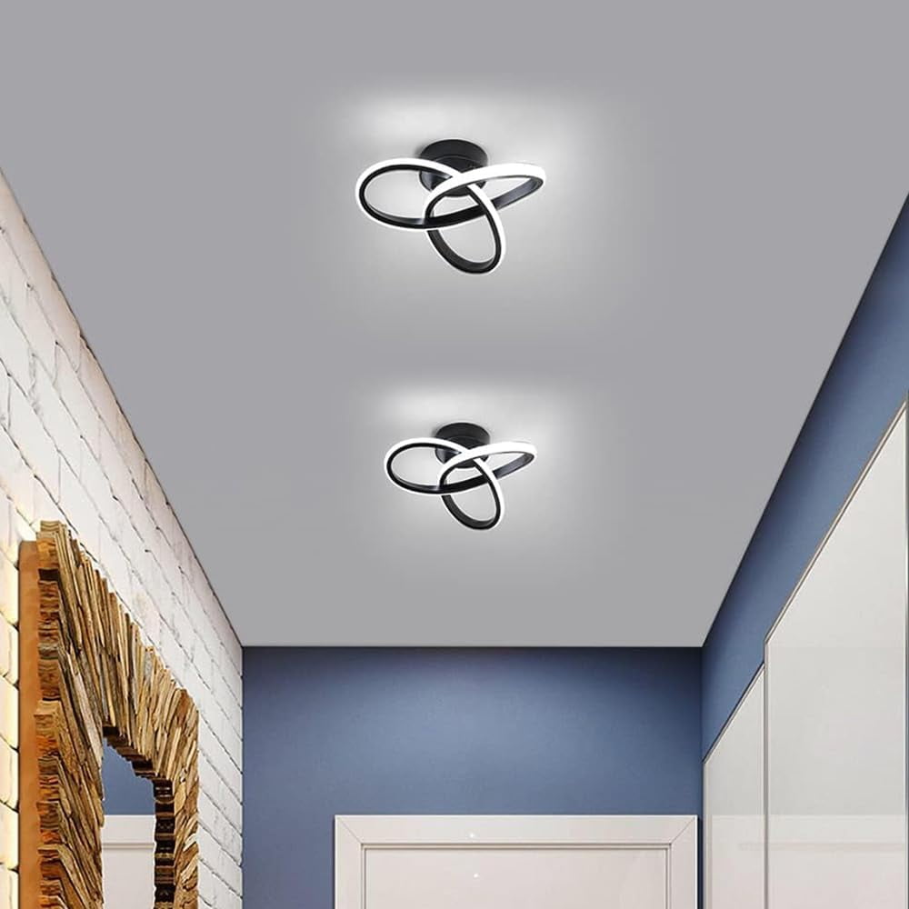 Senhu Modern LED Ceiling Light 22W 6000K White Light Black Finish Electric Powered LED Ceiling Lamp in Flower Shape for Bedroom Corridor Balcony