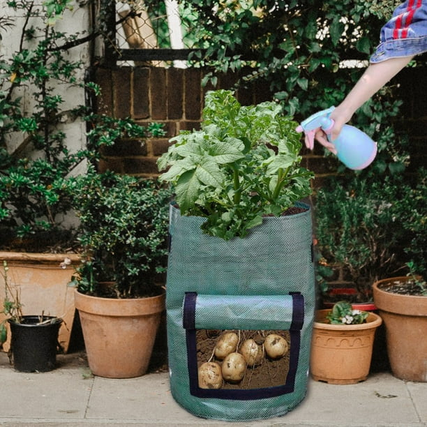 Zerodis Potato Planter Garden Planting Bag Plants Tomato Potato Sweet Potato Eco Friendly Growing Bag With Door Walmart Com Walmart Com Zerodis Potato Planter Garden Planting Bag Plants Tomato Potato Sweet Potato Eco Friendly Growing Bag With Door Walmart Com Walmart Com