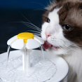 thumbnail image 4 of Fuente de agua para mascotas con circulación automática, dispensador de agua silencioso para gatos y perros, filtro de agua transparente con pétalos, apagado automático por corte de energía, 4 of 5