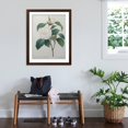 thumbnail image 3 of Art.com White Camellia Art Print by Pierre-Joseph Redoute, Brown Frame Wall Art, 32" x 40", 3 of 5