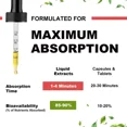 Bonzelo Magnesium Glycinate Liquid Drop High Potency Promotes Nerv
