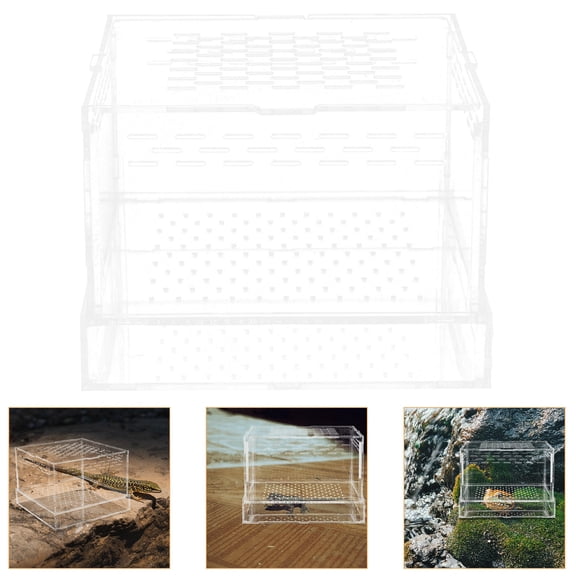 HEMOTON  Spider Terrarium Small Animal Enclosure Breeding Box